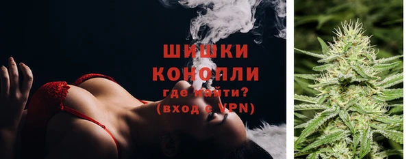 Альфа ПВП Инта