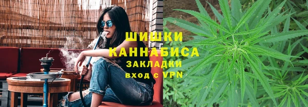 спайс Инсар