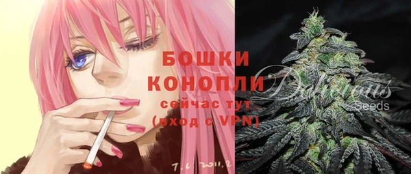 спайс Инсар