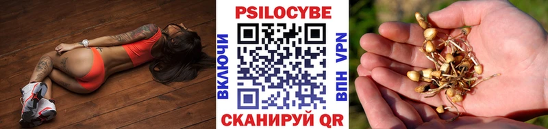 Купить закладки  Борзя  Псилоцибиновые грибы ЛСД 